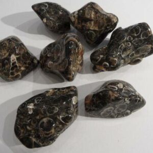 Turitelleia Agate Tumbled Stone