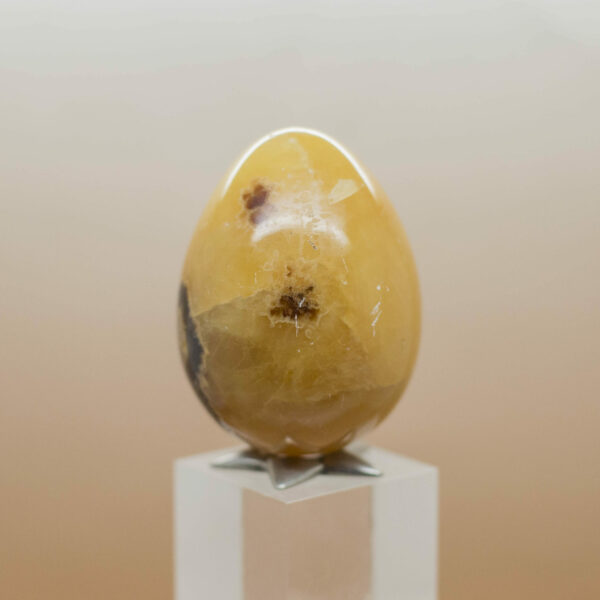 Septarian Egg