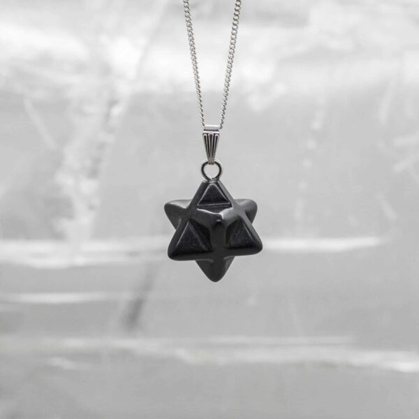 Shungite Merkabah Star Pendant