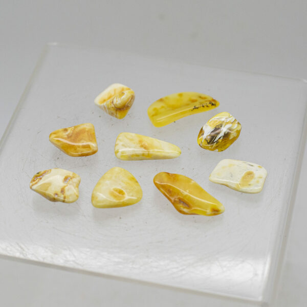 Baltic Butterscotch Amber pieces