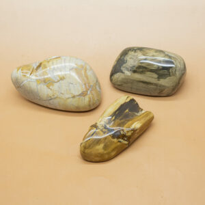 Petrified wood Hand Stones 1