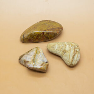 Petrified Wood Hand Stones 1