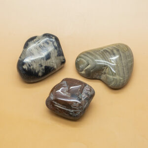Petrified Wood Hand Stones 1