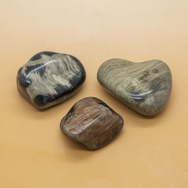 Petrified Wood Hand Stones 2