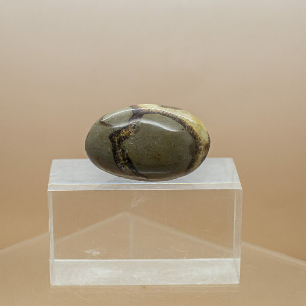 septarian hand stone (2)