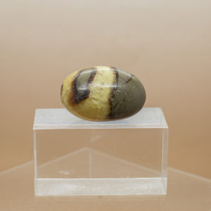 septarian hand stone (5)
