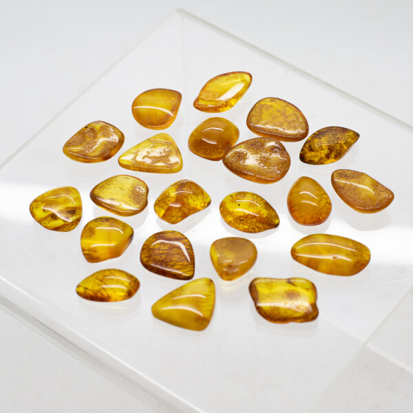 baltic amber pieces