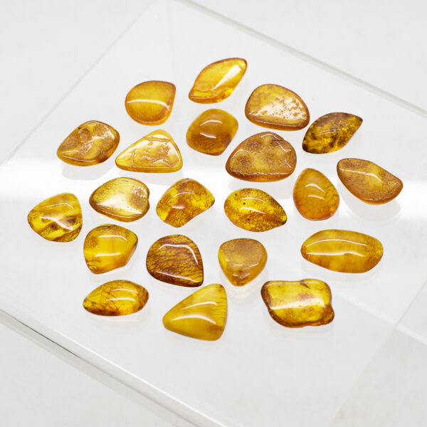 baltic amber pieces