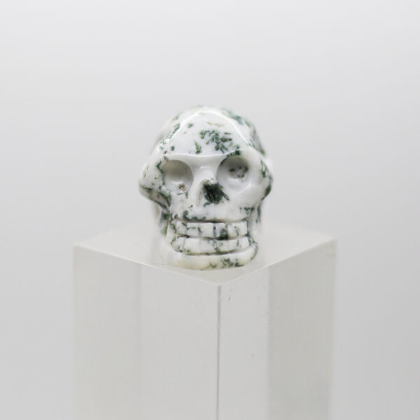tree agate skull (1)