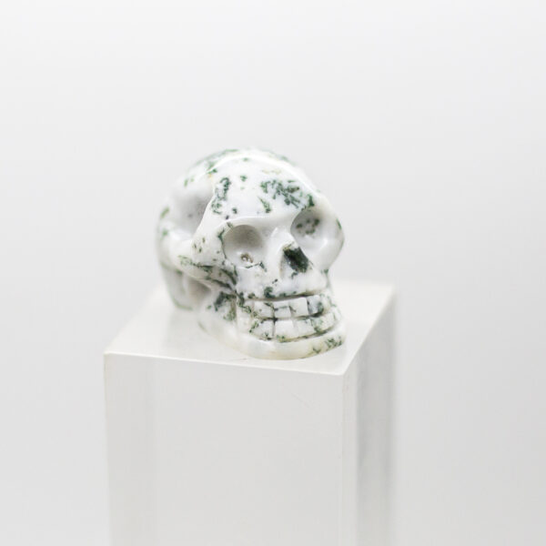 tree agate skull (8)