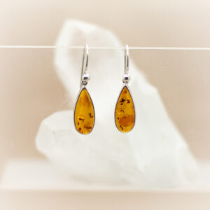 amber earrings (1)