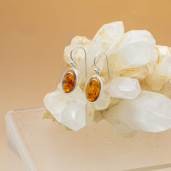 Baltic Amber Earrings