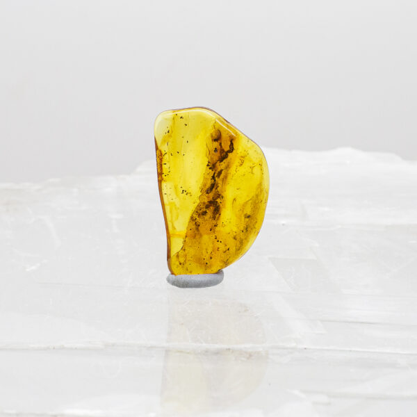 Baltic Amber (1)