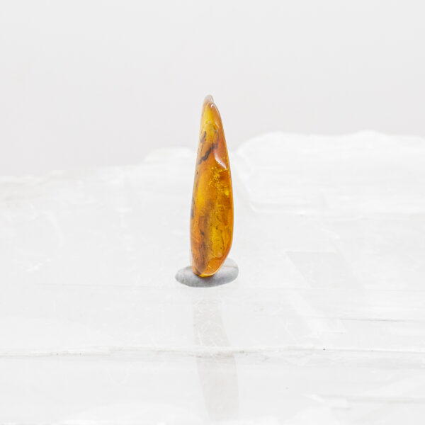 Baltic Amber (2)