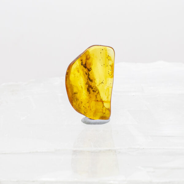 Baltic Amber (3)