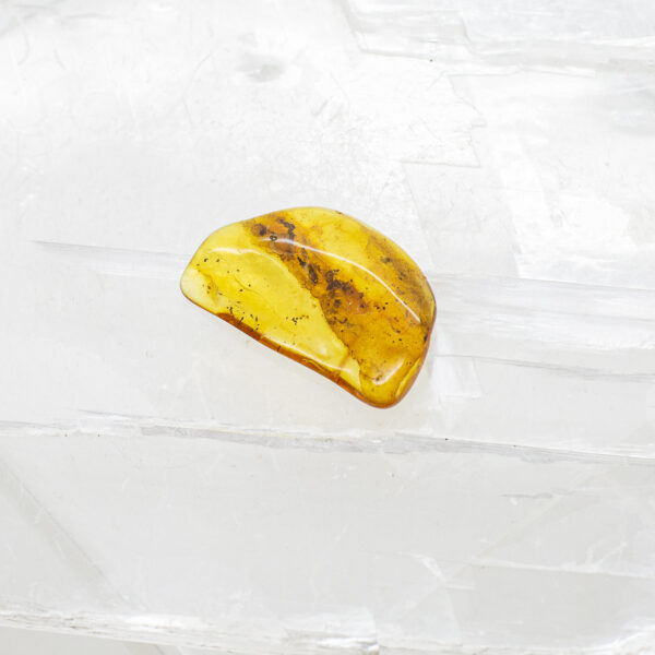 Baltic Amber (4)