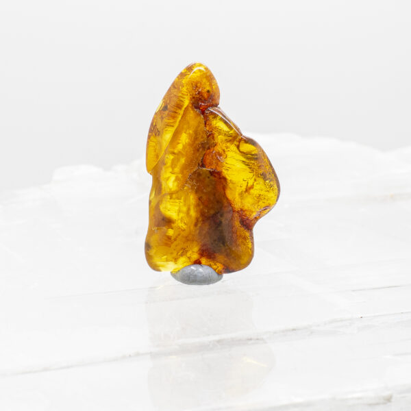 Baltic Amber (1)