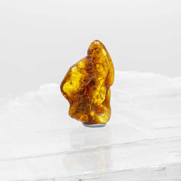 Baltic Amber (3)