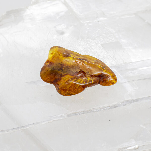 Baltic Amber (4)