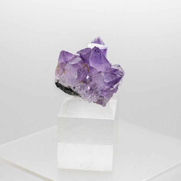 amethyst cluster (3)