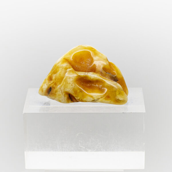 baltic amber