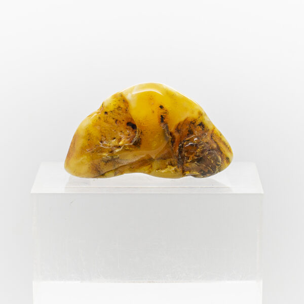 baltic amber