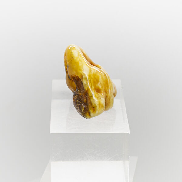baltic amber