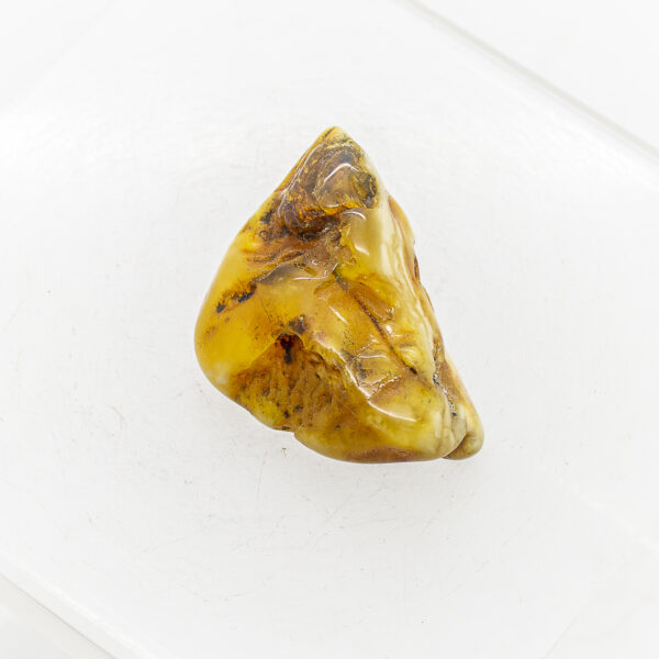 baltic amber