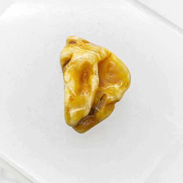 baltic amber