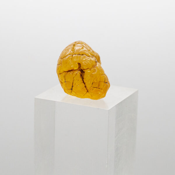 baltic amber natural unpolished
