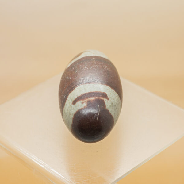 shiva lingam namarda river india