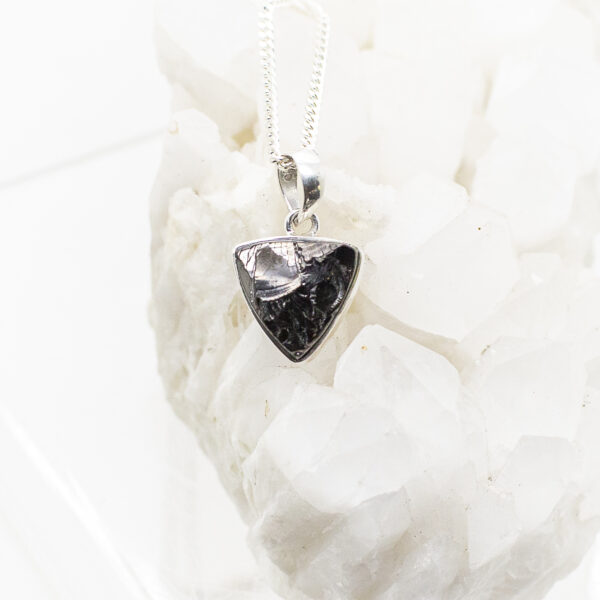 elite shungite pendant