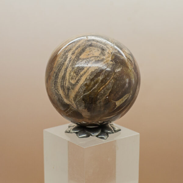 petrified wood hand sphere