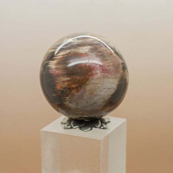 petrified wood hand sphere