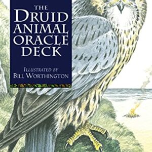 druid animal oracle deck