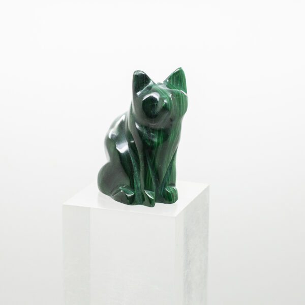 malachite cat