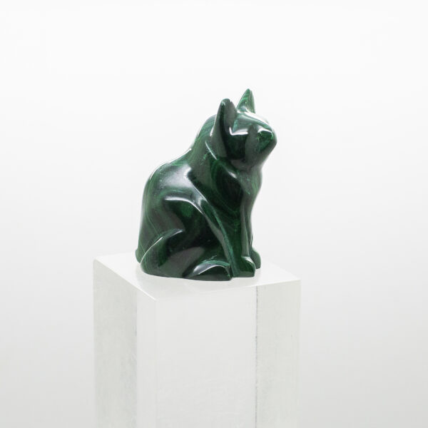 malachite cat