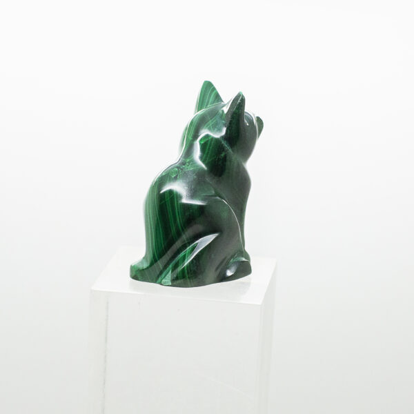 malachite cat