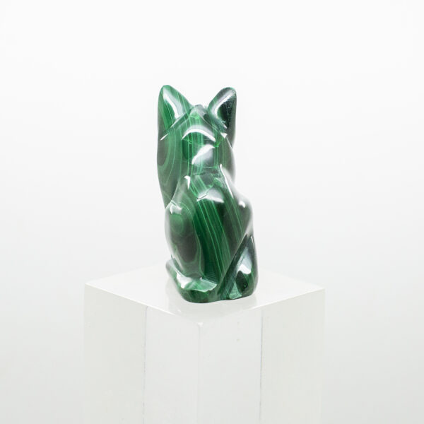 malachite cat