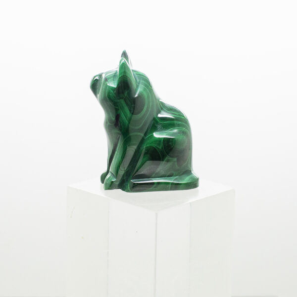 malachite cat
