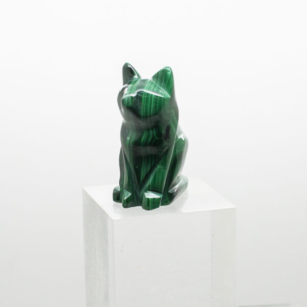 malachite cat