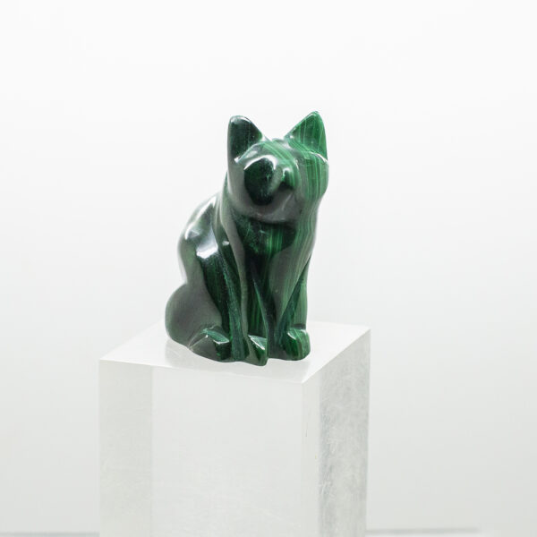 malachite cat