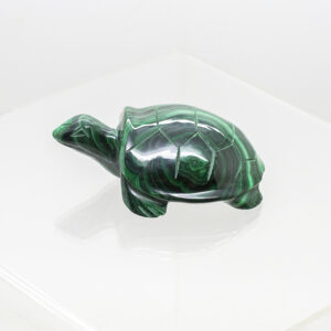 malachite turtle