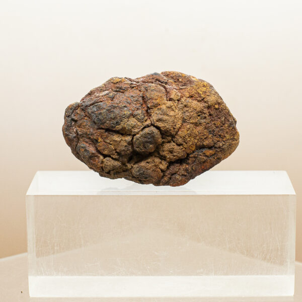 wolf creek iron meteorite