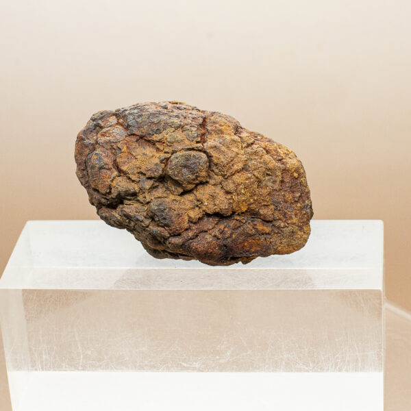 wolf creek iron meteorite