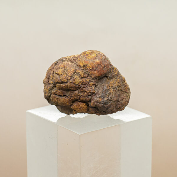 wolf creek iron meteorite