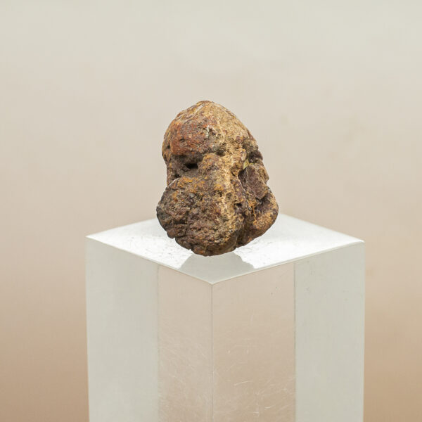 wolf creek iron meteorite