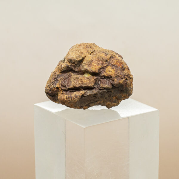 wolf creek iron meteorite