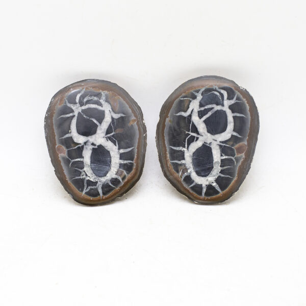 septarian nodule pair