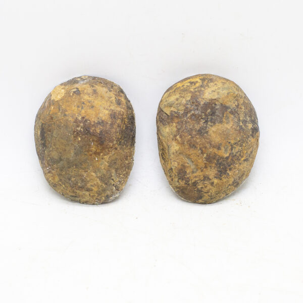 septarian nodule pair